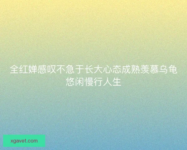 全红婵感叹不急于长大心态成熟羡慕乌龟悠闲慢行人生