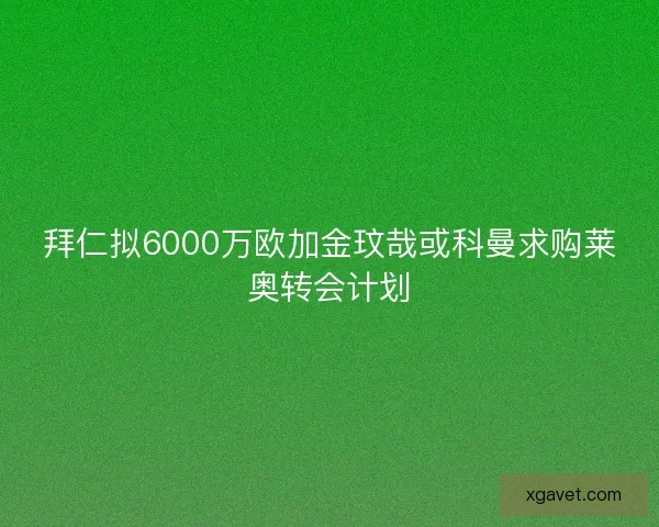 拜仁拟6000万欧加金玟哉或科曼求购莱奥转会计划 拜仁拟6000万欧加金玟哉或科曼求购莱奥转会计划