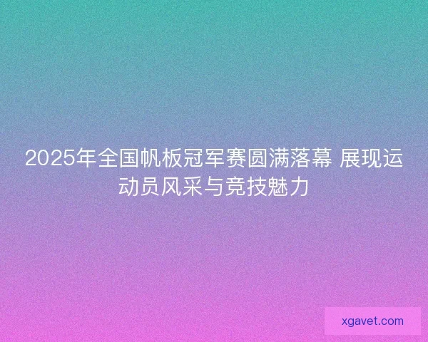 2025年全国帆板冠军赛圆满落幕 展现运动员风采与竞技魅力