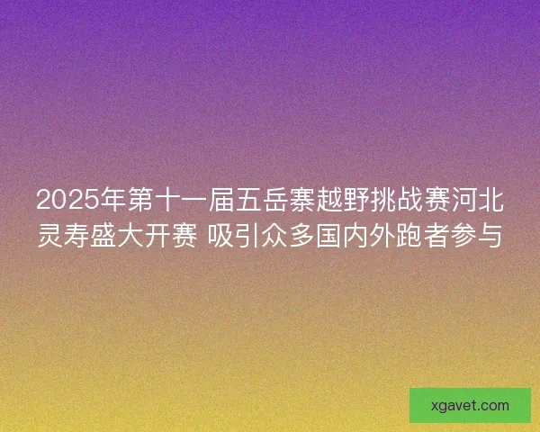 2025年第十一届五岳寨越野挑战赛河北灵寿盛大开赛 吸引众多国内外跑者参与