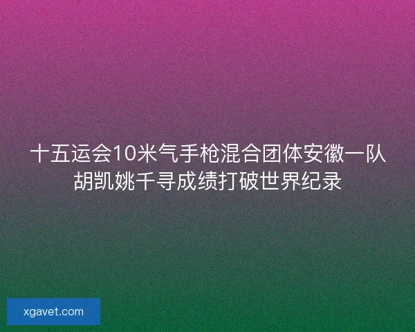 十五运会10米气手枪混合团体安徽一队胡凯姚千寻成绩打破世界纪录