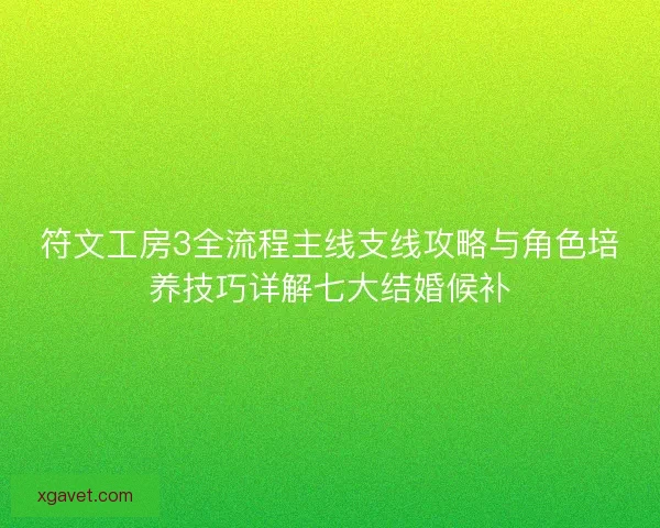 符文工房3全流程主线支线攻略与角色培养技巧详解七大结婚候补