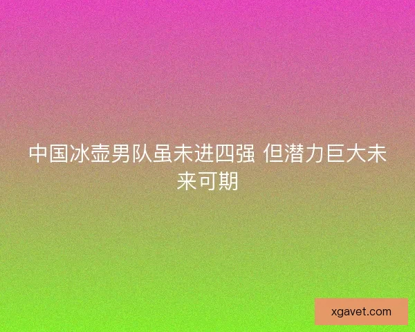 中国冰壶男队虽未进四强 但潜力巨大未来可期