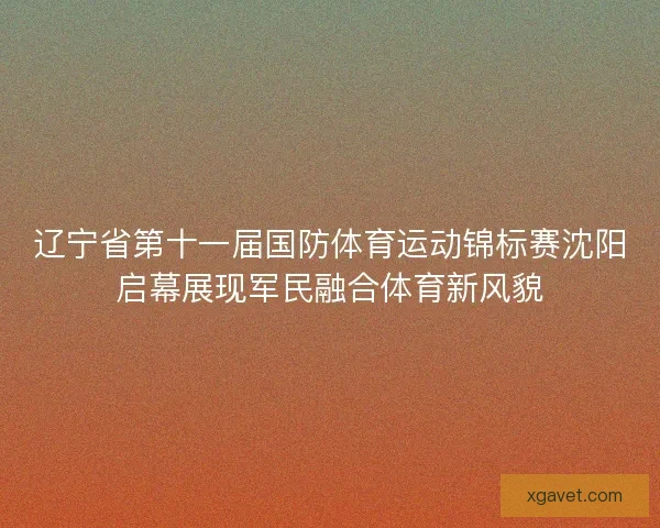辽宁省第十一届国防体育运动锦标赛沈阳启幕展现军民融合体育新风貌