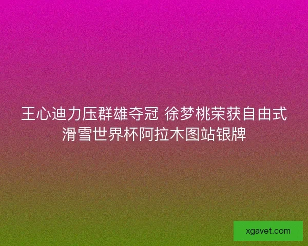 王心迪力压群雄夺冠 徐梦桃荣获自由式滑雪世界杯阿拉木图站银牌 王心迪力压群雄夺冠 徐梦桃荣获自由式滑雪世界杯阿拉木图站银牌