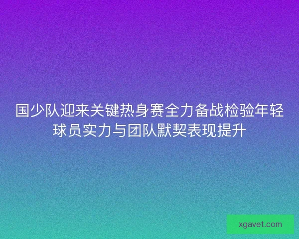 国少队迎来关键热身赛全力备战检验年轻球员实力与团队默契表现提升 国少队迎来关键热身赛全力备战检验年轻球员实力与团队默契表现提升
